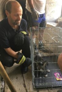 Tierischer Feuerwehreinsatz